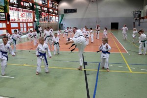Taekwondo Toruń Działdowo Mława (23)